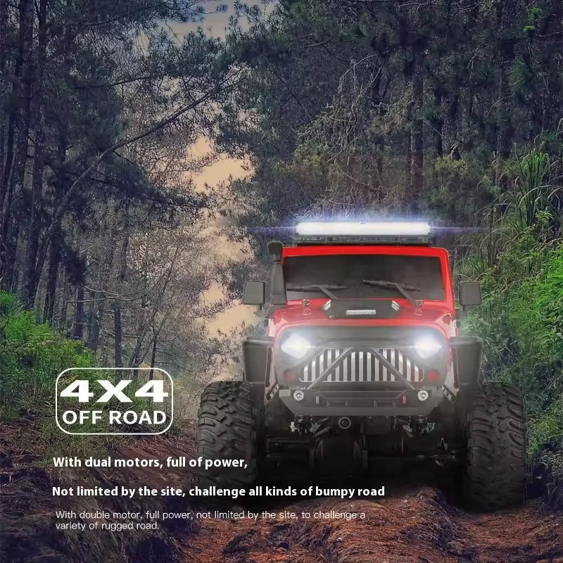WLtoys 104311 4WD Crawler